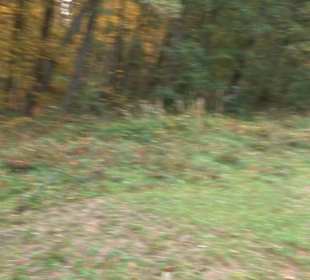 Schaukel auf den Knaupwiesen