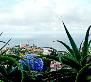 Aussichtspunkt Pico dos Barcelos