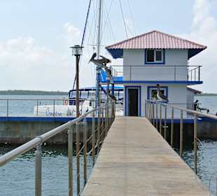 Delfinarium Cayo Blanco