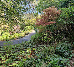 Botanischer Garten Wellington