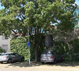 Bürgerhalle Tailfingen