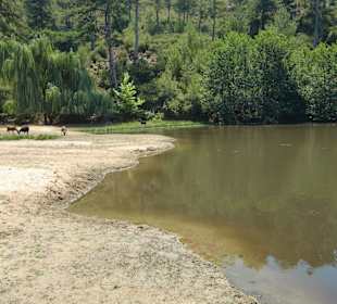 See mit Fischen und Ziegen