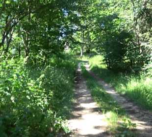 Burg Hölnstein Stetten u. Holstein