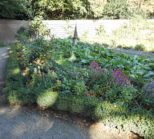 Parkanlage Kräutergarten