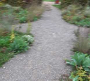 Garten Großbritanien