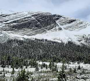 Columbia icefield - 230 Quadratkilometer