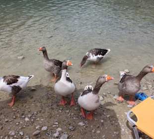 Озеро Курнас 