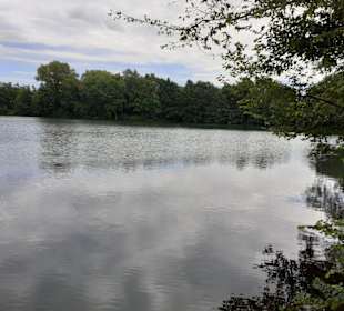 Rensinger See in Kellinghusen