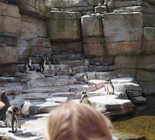 Tierpark Hagenbeck