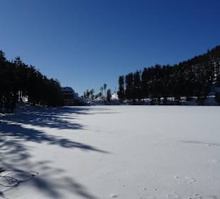 Mummelsee