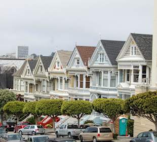 Painted Ladies