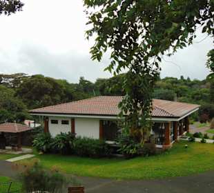 Doka Estate Kaffeeplantage