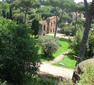 Im Palatino.