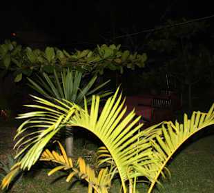 Impressionen bei Nacht