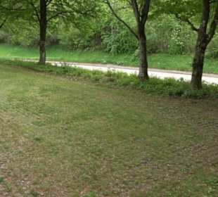 Wanderparkplatz Wasen