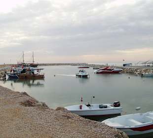 Der neue Hafen