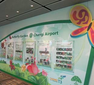 Eingang Butterfly-Garden Terminal 3