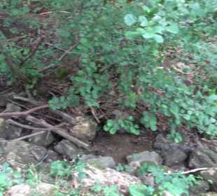 Hochgehnießen - Premiumspazierwanderweg