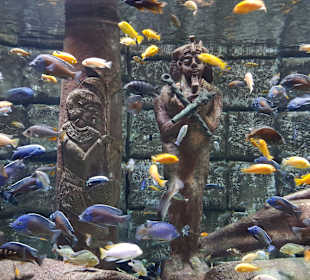 Aquarium in Antalya