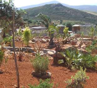 Gelände im Amazonas Park