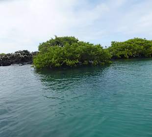 Die Insel ist vulkanisch, aber auch grün