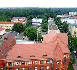 Ausblick