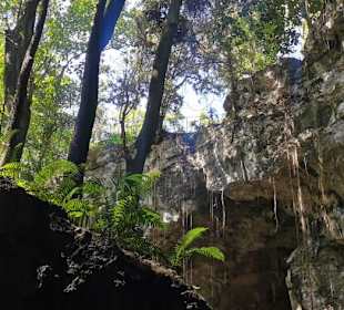 Ausflug zum National Park Los Tres Ojos mit Andy
