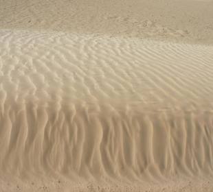 Ausflug in die Sahara