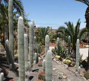 Kakteenpark