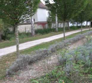 Klosterpark Altheim