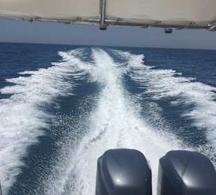 Angelnausflug lohnt sich um Barracudas zu erleben echt krass