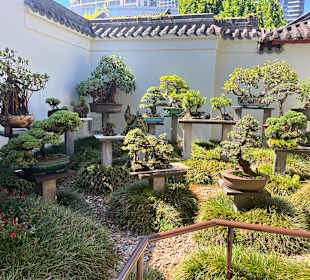 Impressionen aus dem chinesischen Garten