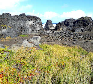 Inselrundfahrt Nordküste