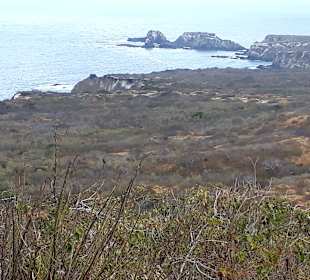 Isla de la Plata
