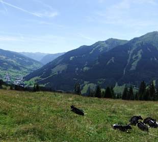 Wanderung