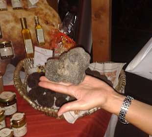 Tartufo