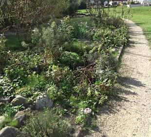 Park Oase der Gesundheit