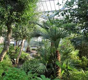 Die Tropengewächshäuser in "Planten un Blomen"