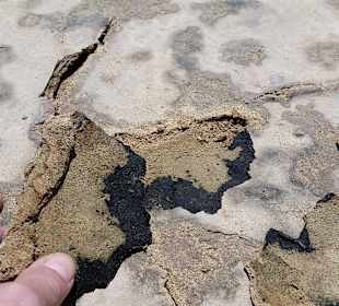 Öl auf dem Strand am Hotel Melia