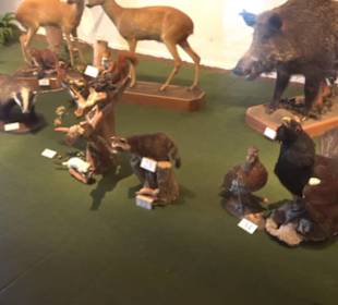 Natur- und Jagdmuseum