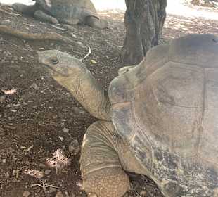 Tour durch den Süden