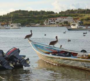 Am Hafen von Juan Griego