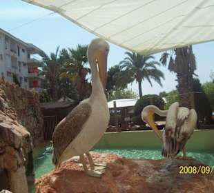 Marineland Ausflug