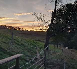 Wandern Stubenberg am See