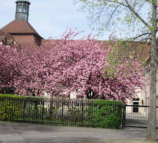 Straßburg im Frühling