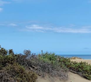 Dünen von Maspalomas
