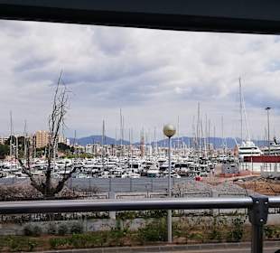 Hafen Palma de Mallorca