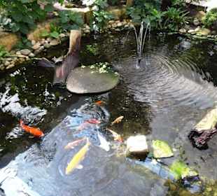 Rundgang durch den Jardin des Papillons