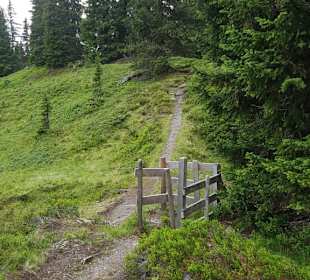 Hier zweigt der Wanderweg ab zur Bussalp