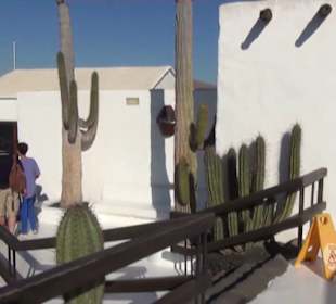 Fundacion Cesar Manrique